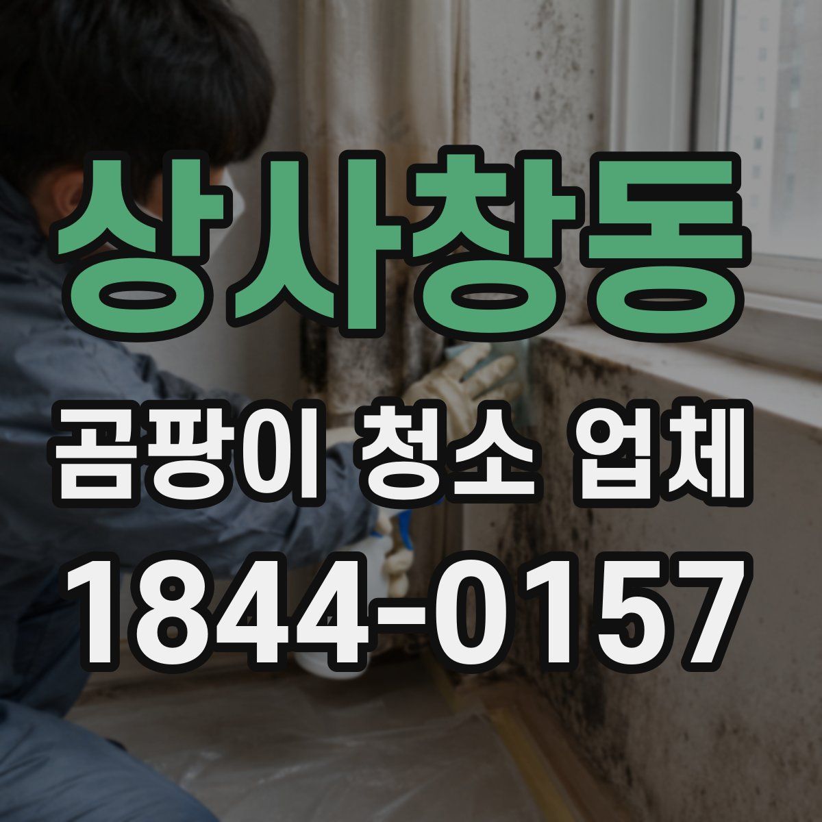 상사창동 곰팡이 청소 업체