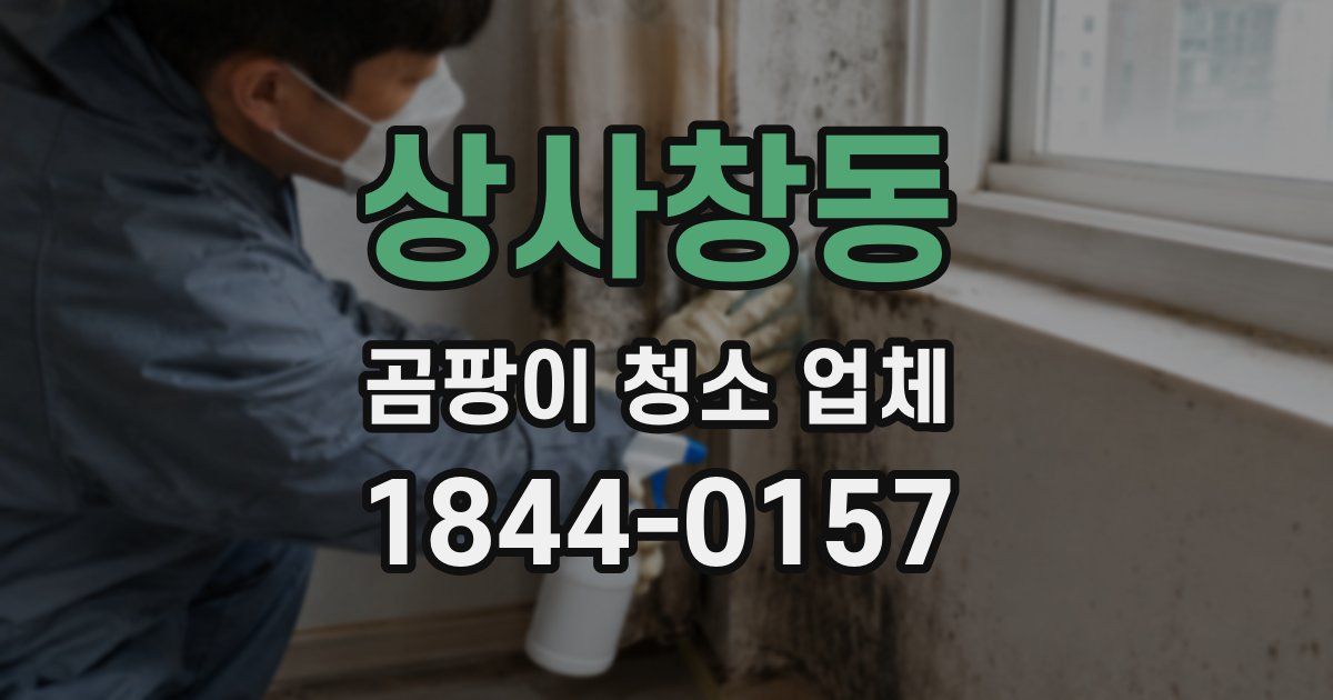 상사창동 곰팡이 청소 업체