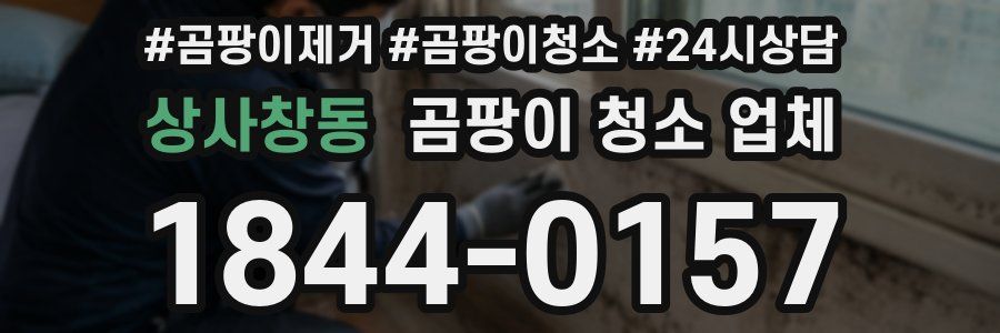 상사창동 곰팡이 청소 업체