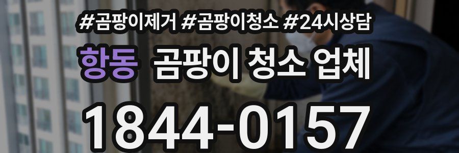 항동 곰팡이 청소 업체