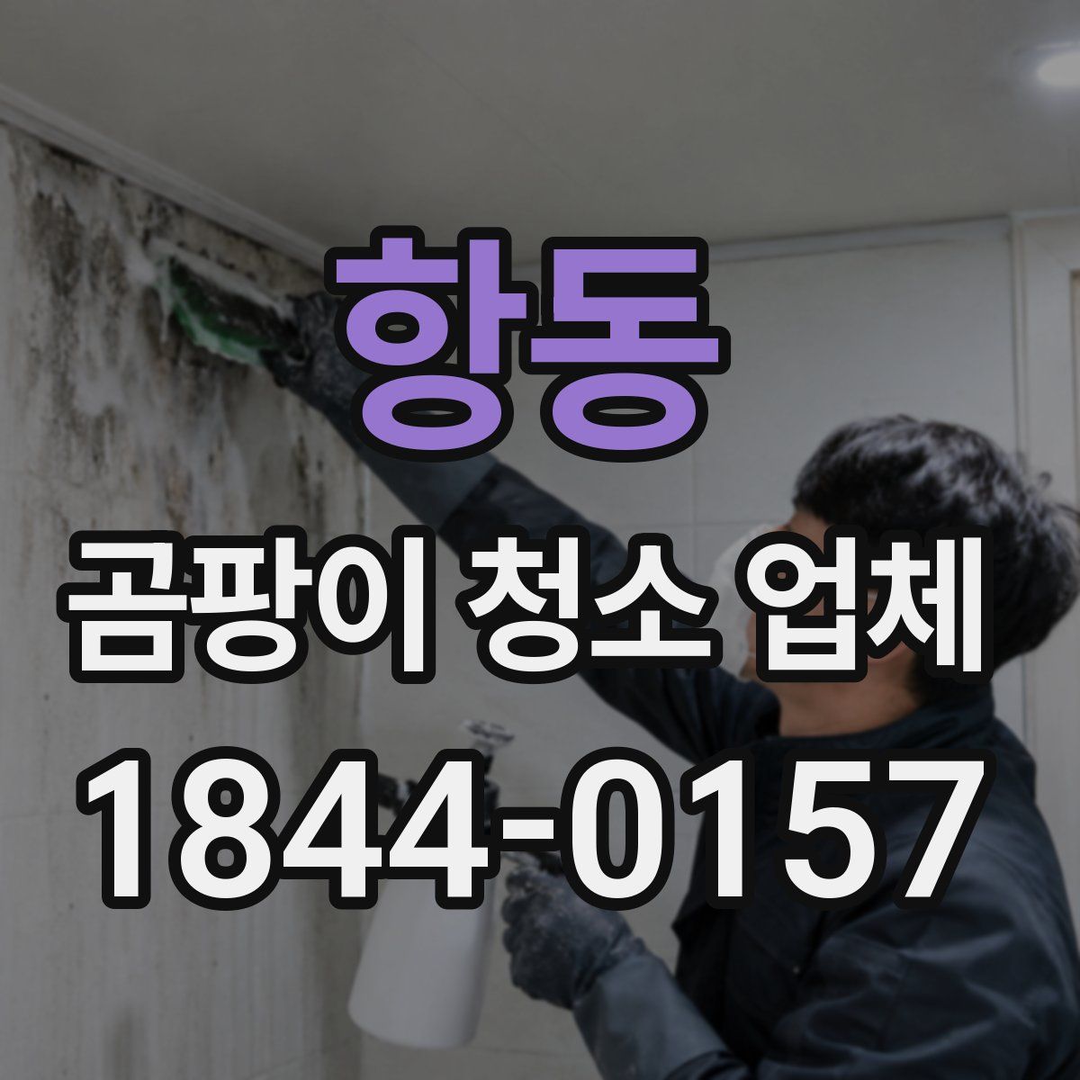 항동 곰팡이 청소 업체