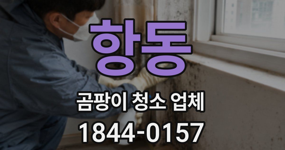 항동 곰팡이 청소 업체