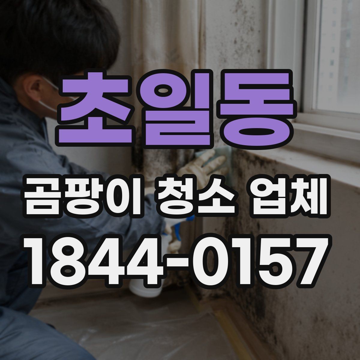 초일동 곰팡이 청소 업체 약품 사용 기준과 안전 확인 포인트