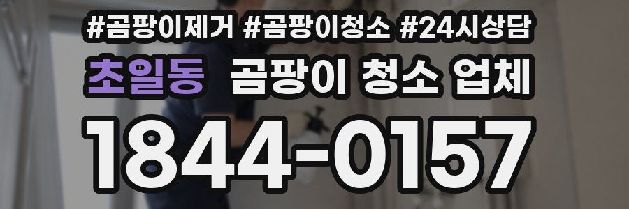 초일동 곰팡이 청소 업체