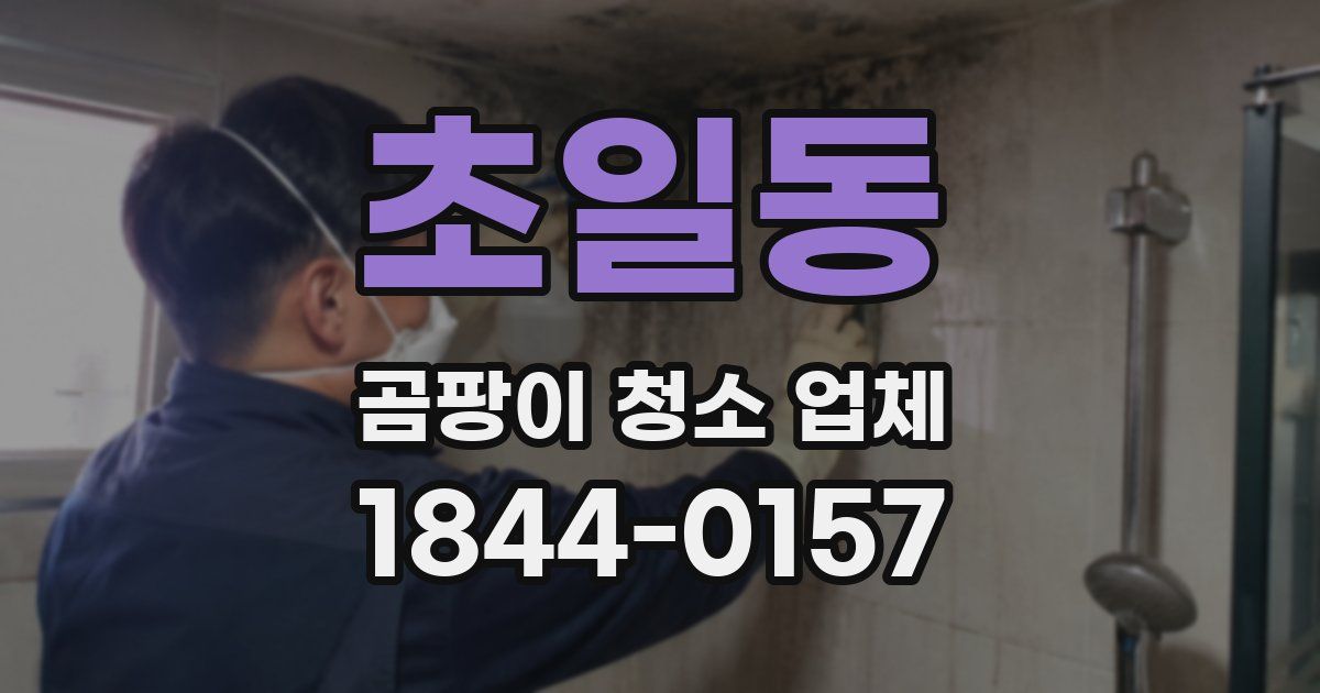 초일동 곰팡이 청소 업체