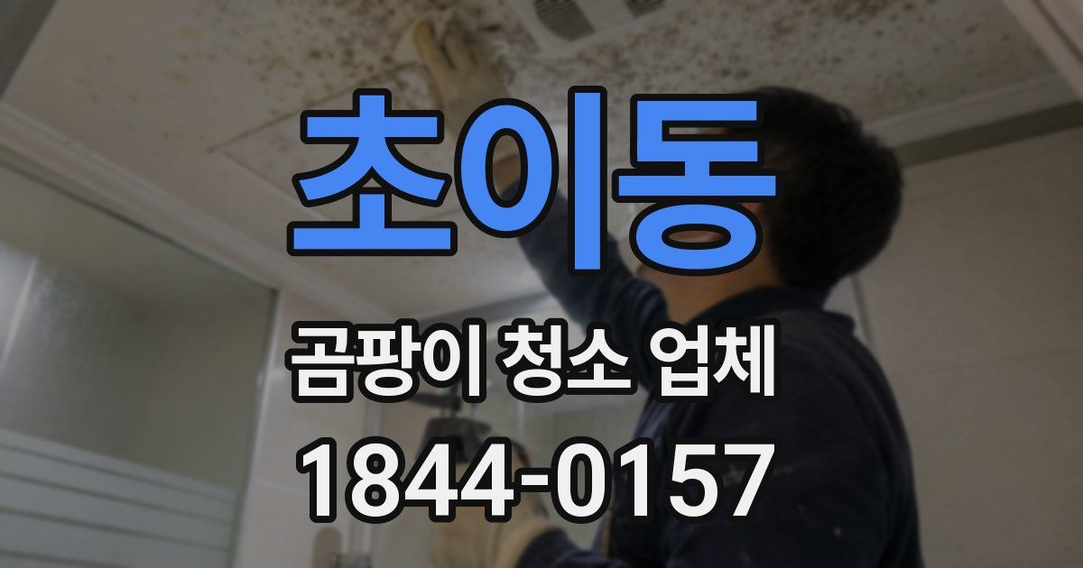 초이동 곰팡이 청소 업체