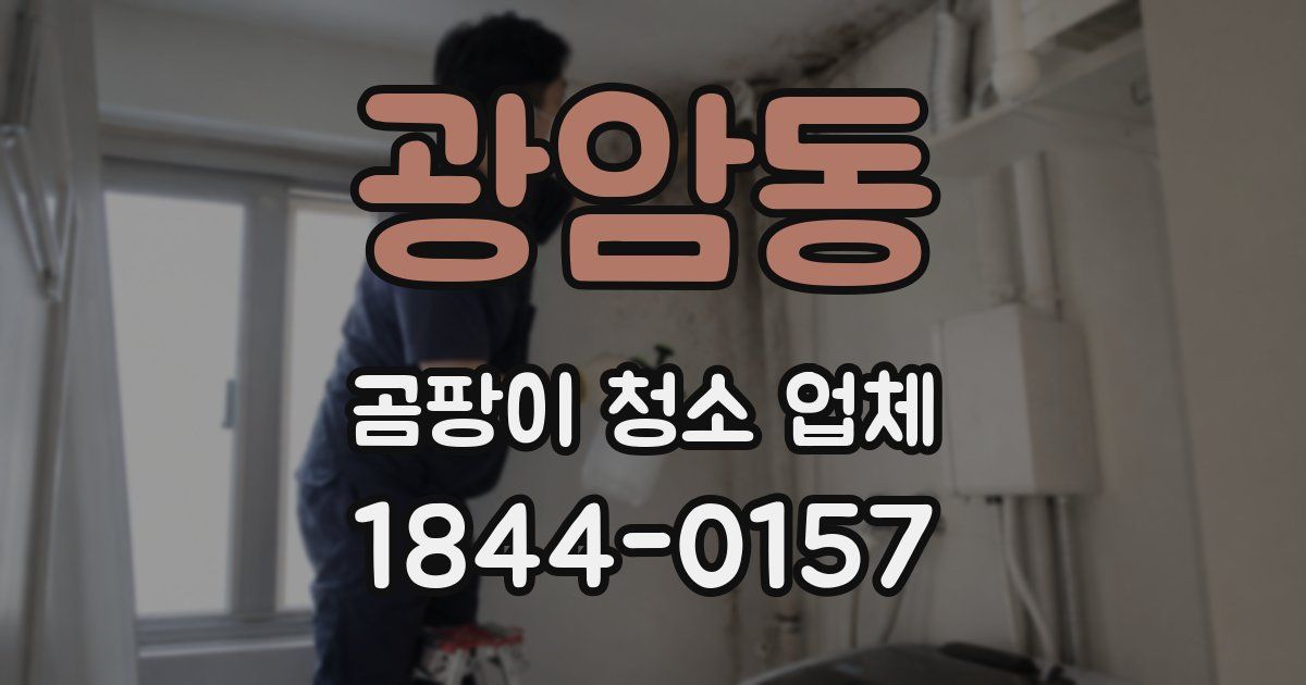 광암동 곰팡이 청소 업체