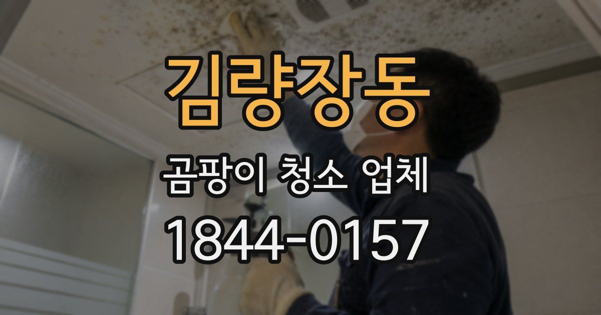 김량장동 곰팡이 청소 업체