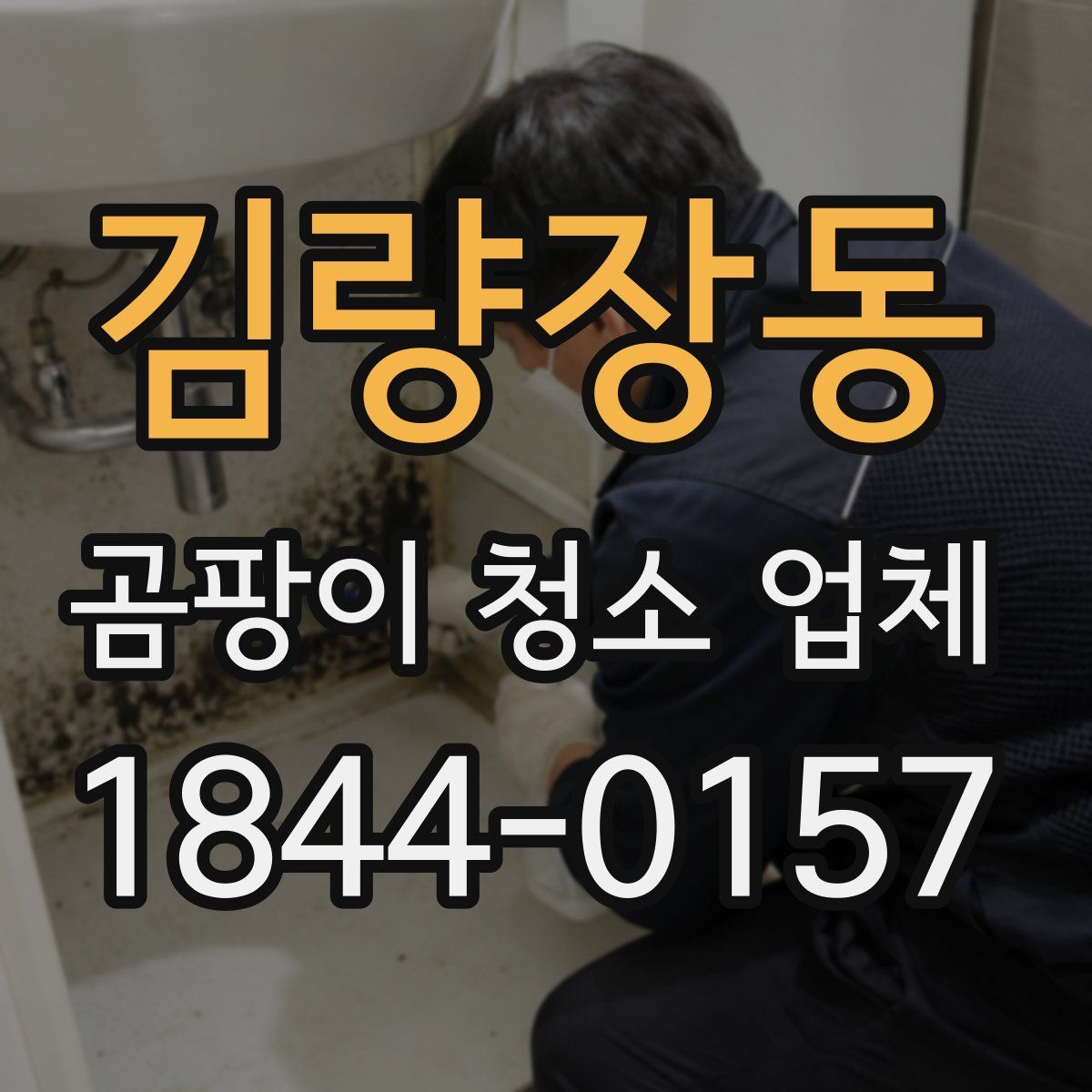 김량장동 곰팡이 청소 업체