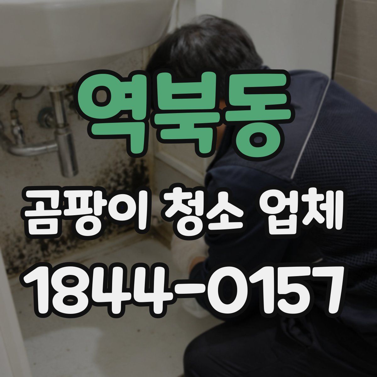역북동 곰팡이 청소 업체