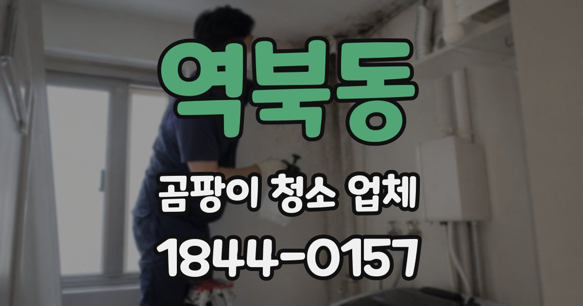 역북동 곰팡이 청소 업체
