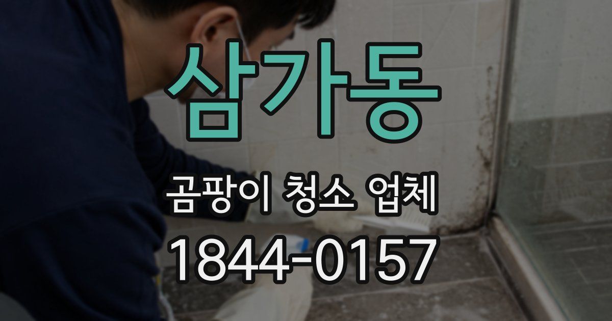 삼가동 곰팡이 청소 업체