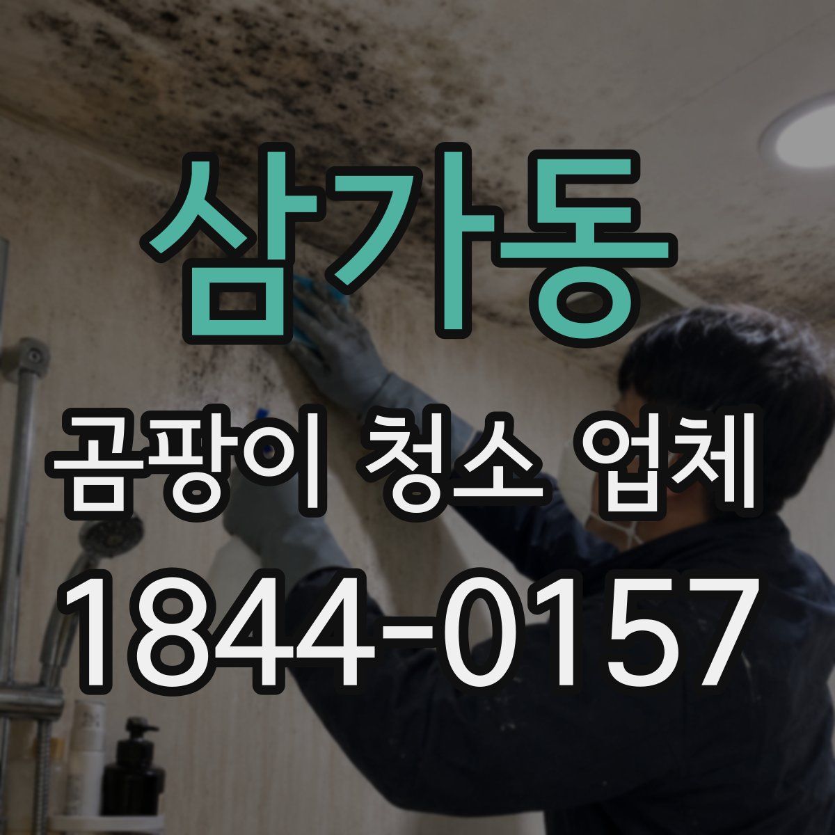삼가동 곰팡이 청소 업체