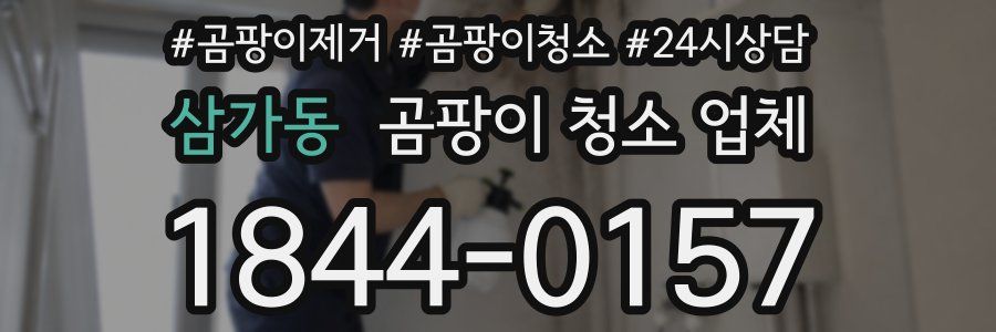 삼가동 곰팡이 청소 업체