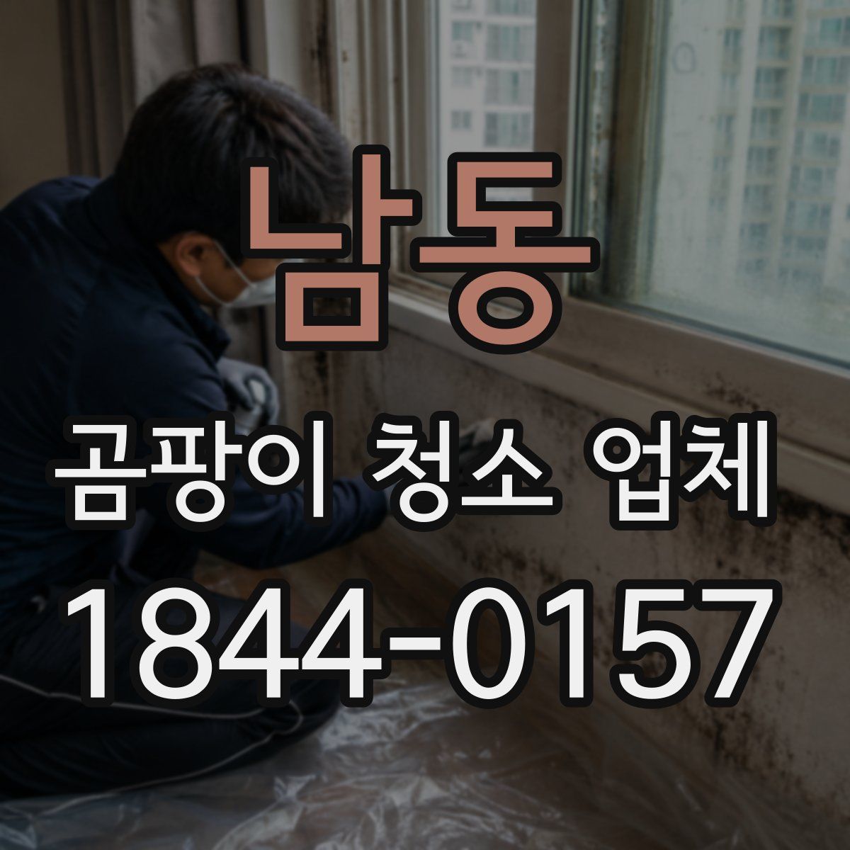 남동 곰팡이 청소 업체