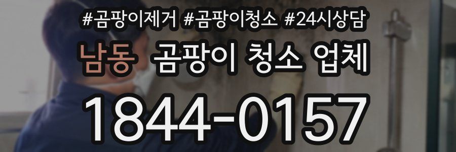 남동 곰팡이 청소 업체