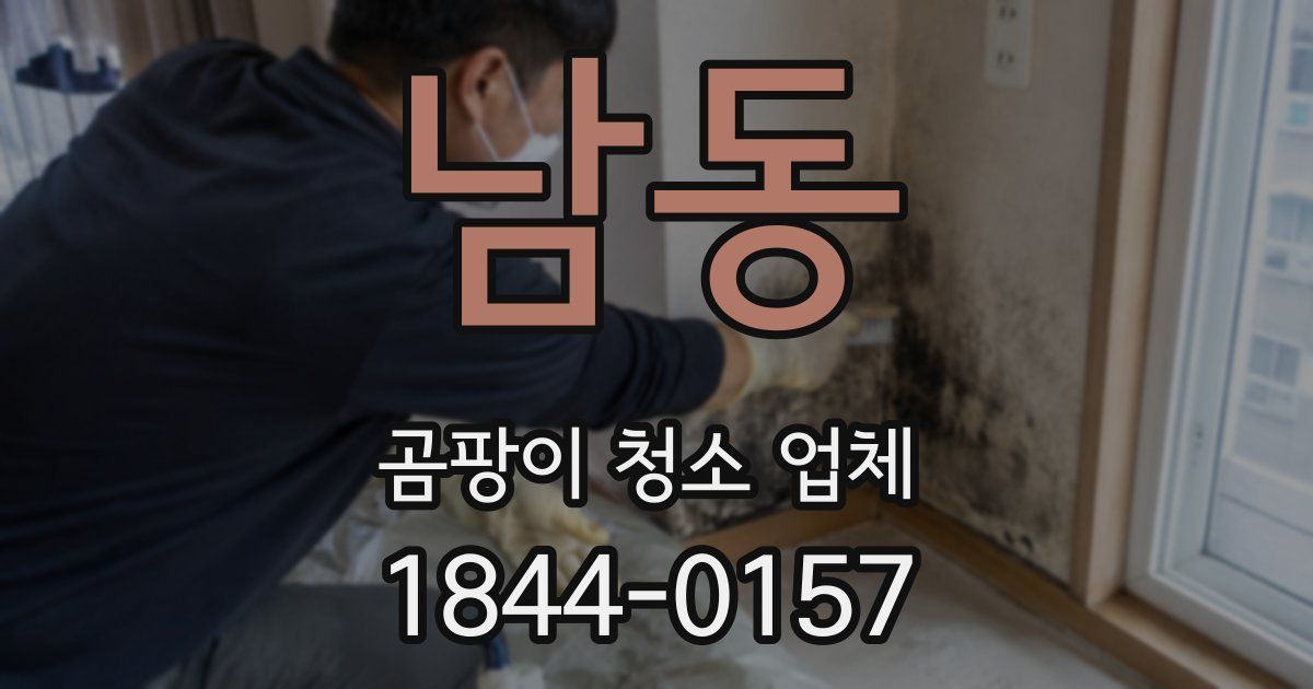 남동 곰팡이 청소 업체