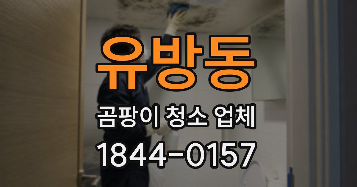 유방동 곰팡이 청소 업체