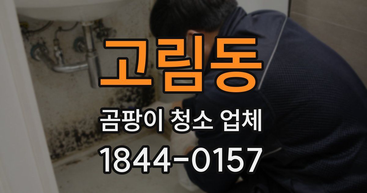 고림동 곰팡이 청소 업체