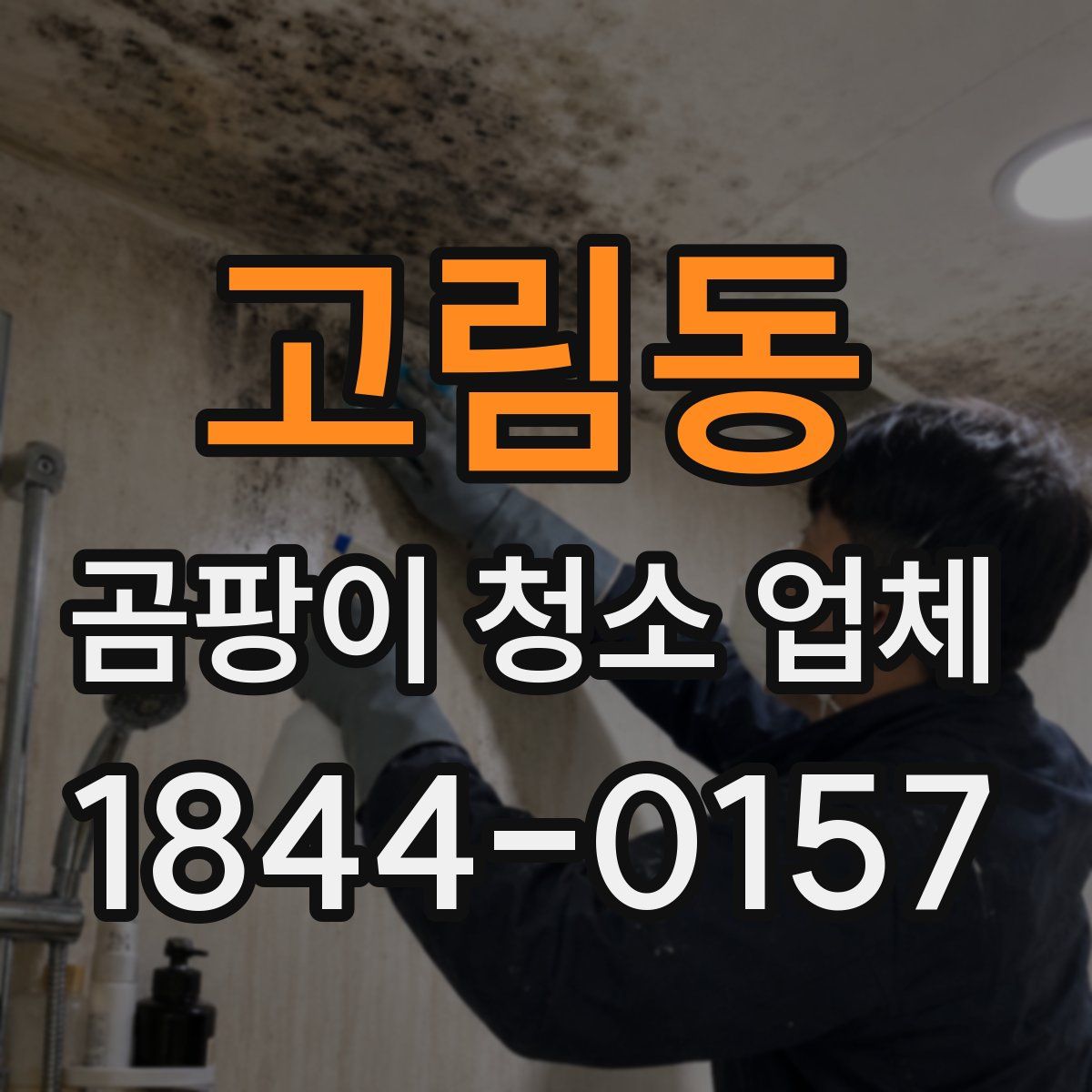 고림동 곰팡이 청소 업체