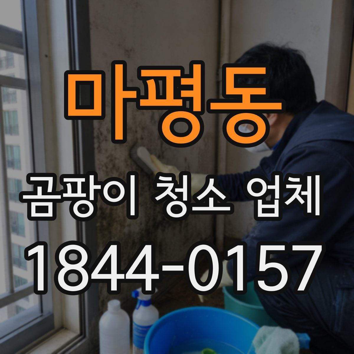마평동 곰팡이 청소 업체
