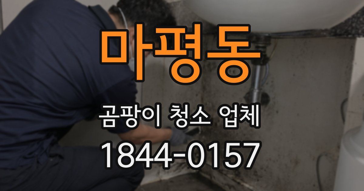 마평동 곰팡이 청소 업체