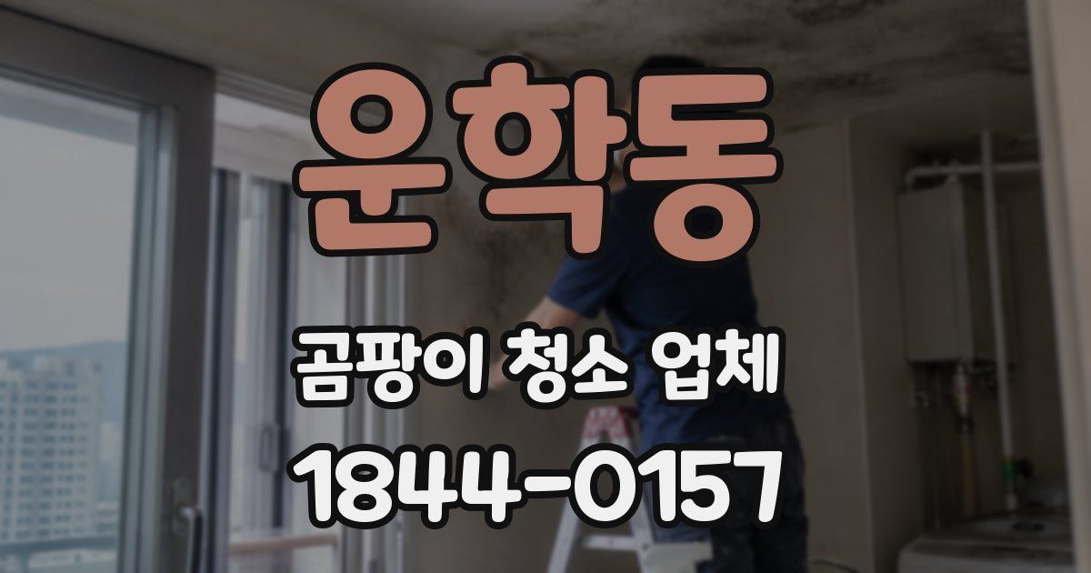 운학동 곰팡이 청소 업체