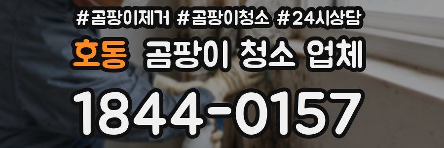 호동 곰팡이 청소 업체