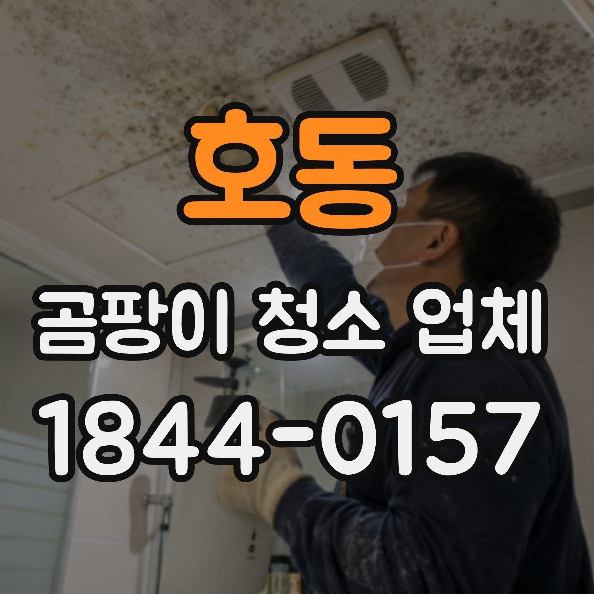 호동 곰팡이 청소 업체