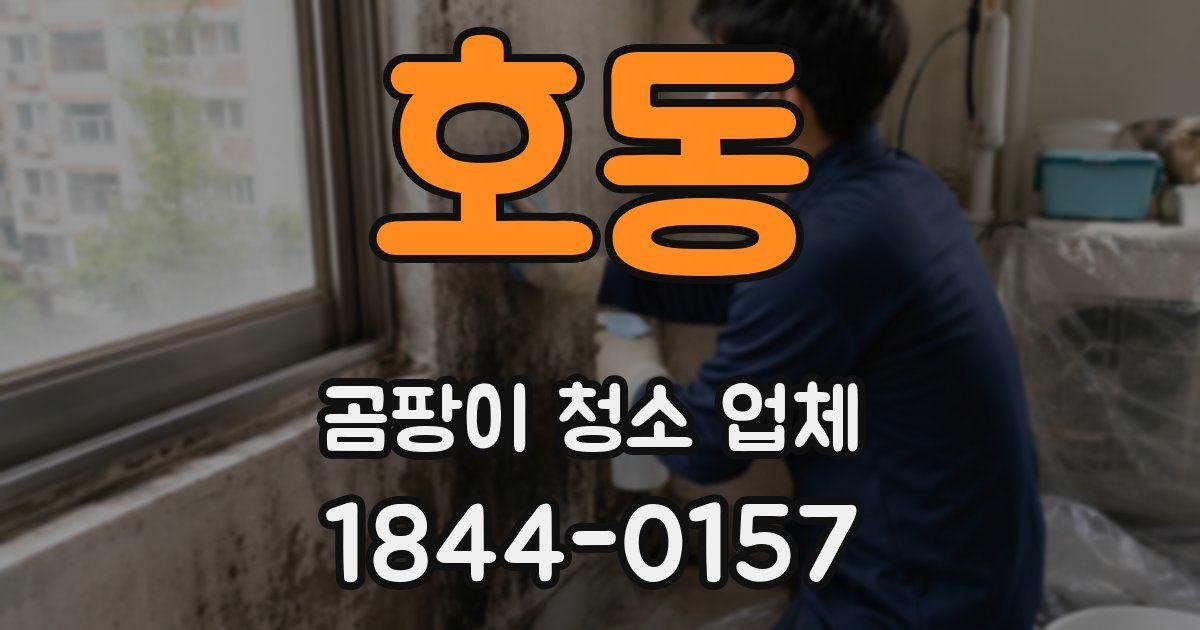 호동 곰팡이 청소 업체