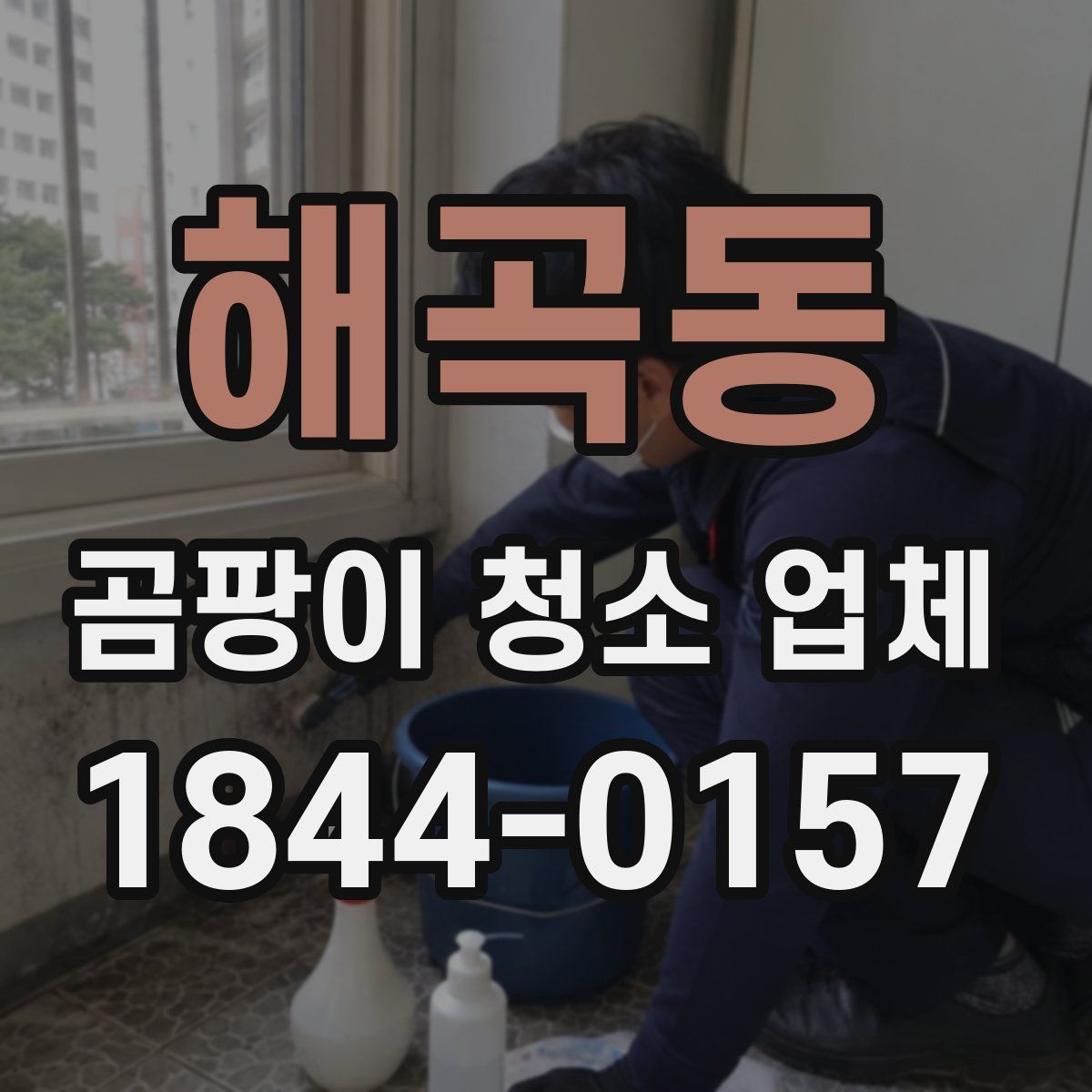 해곡동 곰팡이 청소 업체