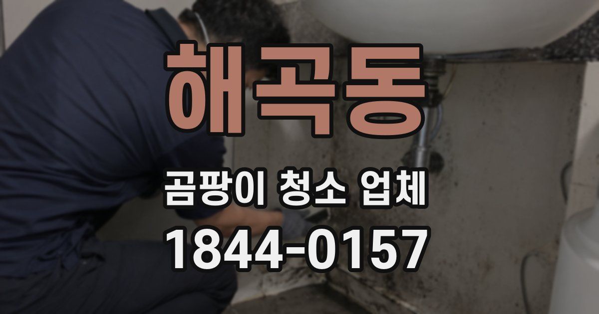 해곡동 곰팡이 청소 업체