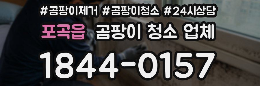 포곡읍 곰팡이 청소 업체