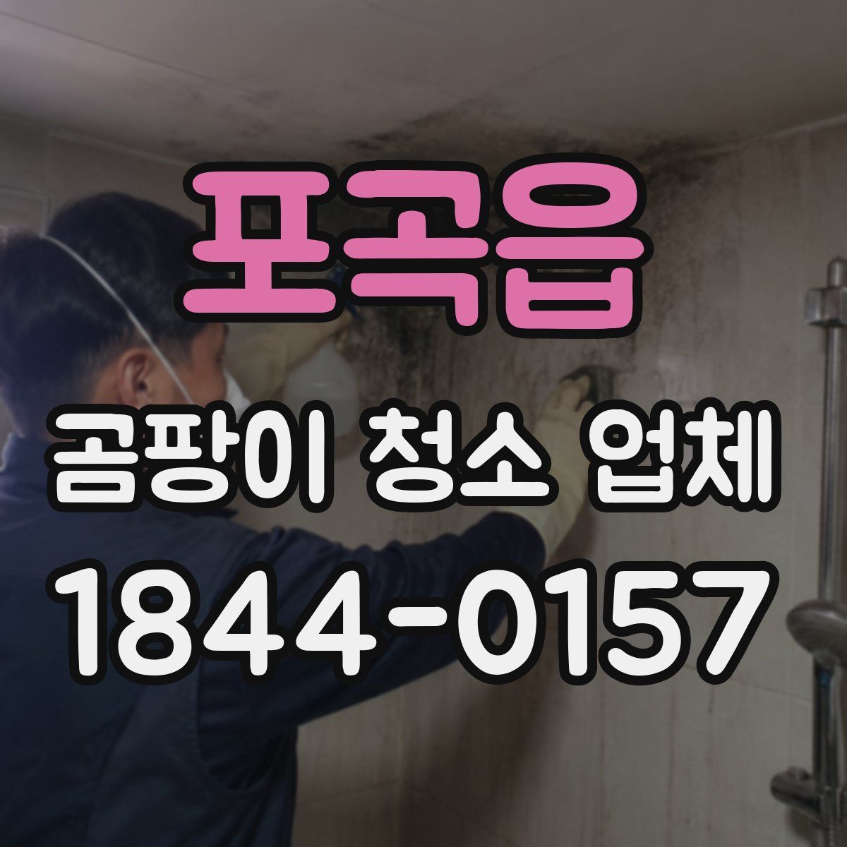 포곡읍 곰팡이 청소 업체