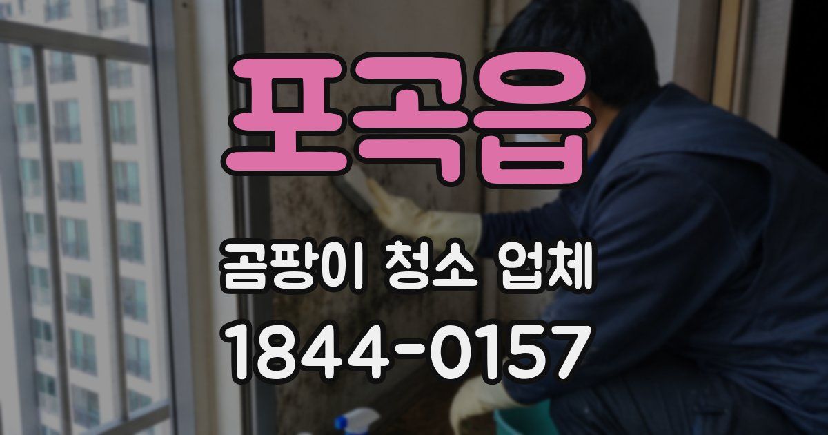 포곡읍 곰팡이 청소 업체