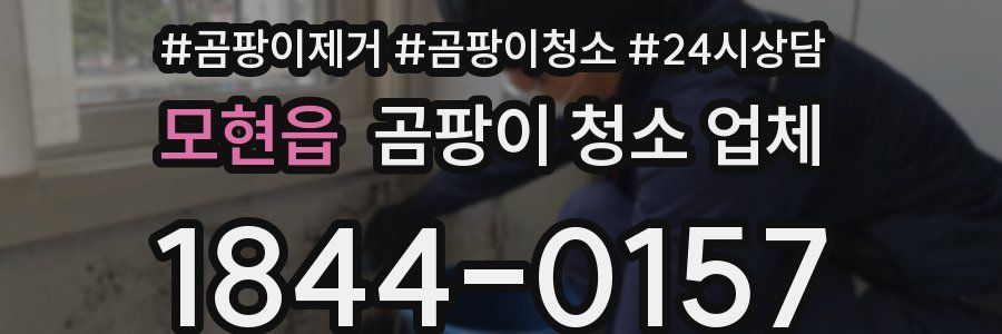모현읍 곰팡이 청소 업체