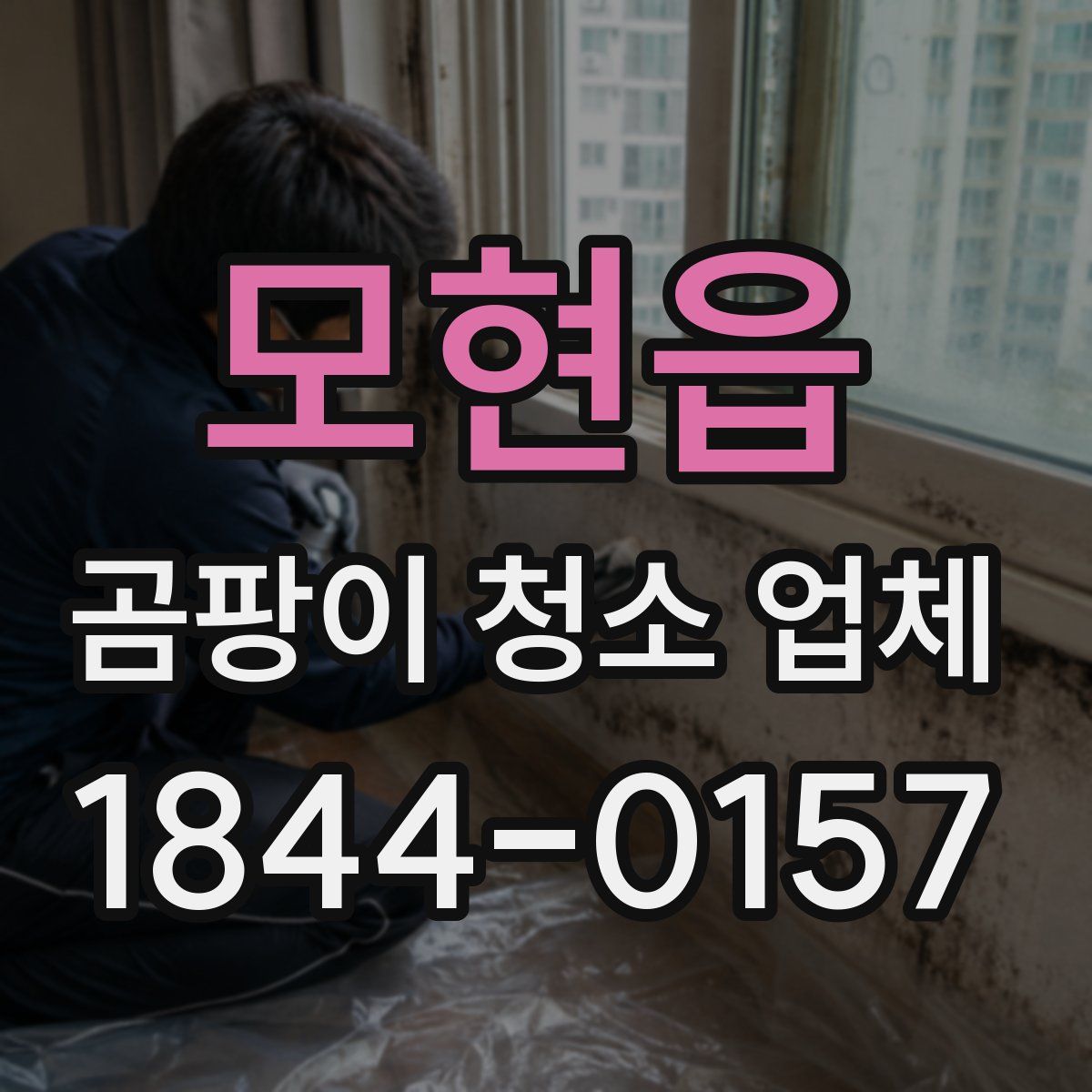 모현읍 곰팡이 청소 업체