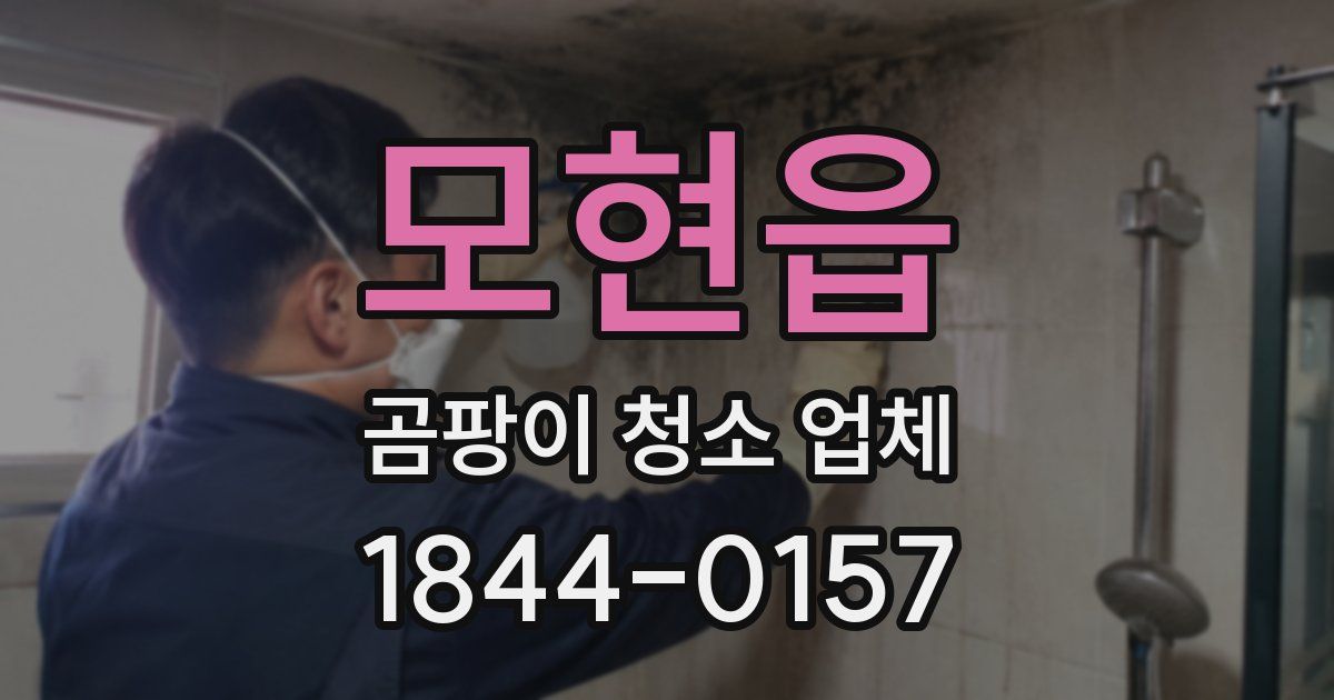 모현읍 곰팡이 청소 업체