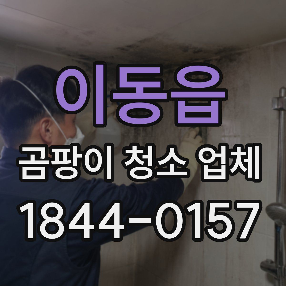 이동읍 곰팡이 청소 업체