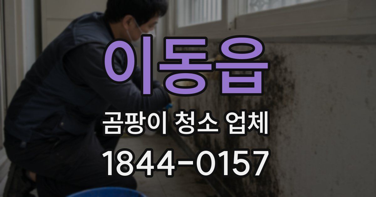 이동읍 곰팡이 청소 업체
