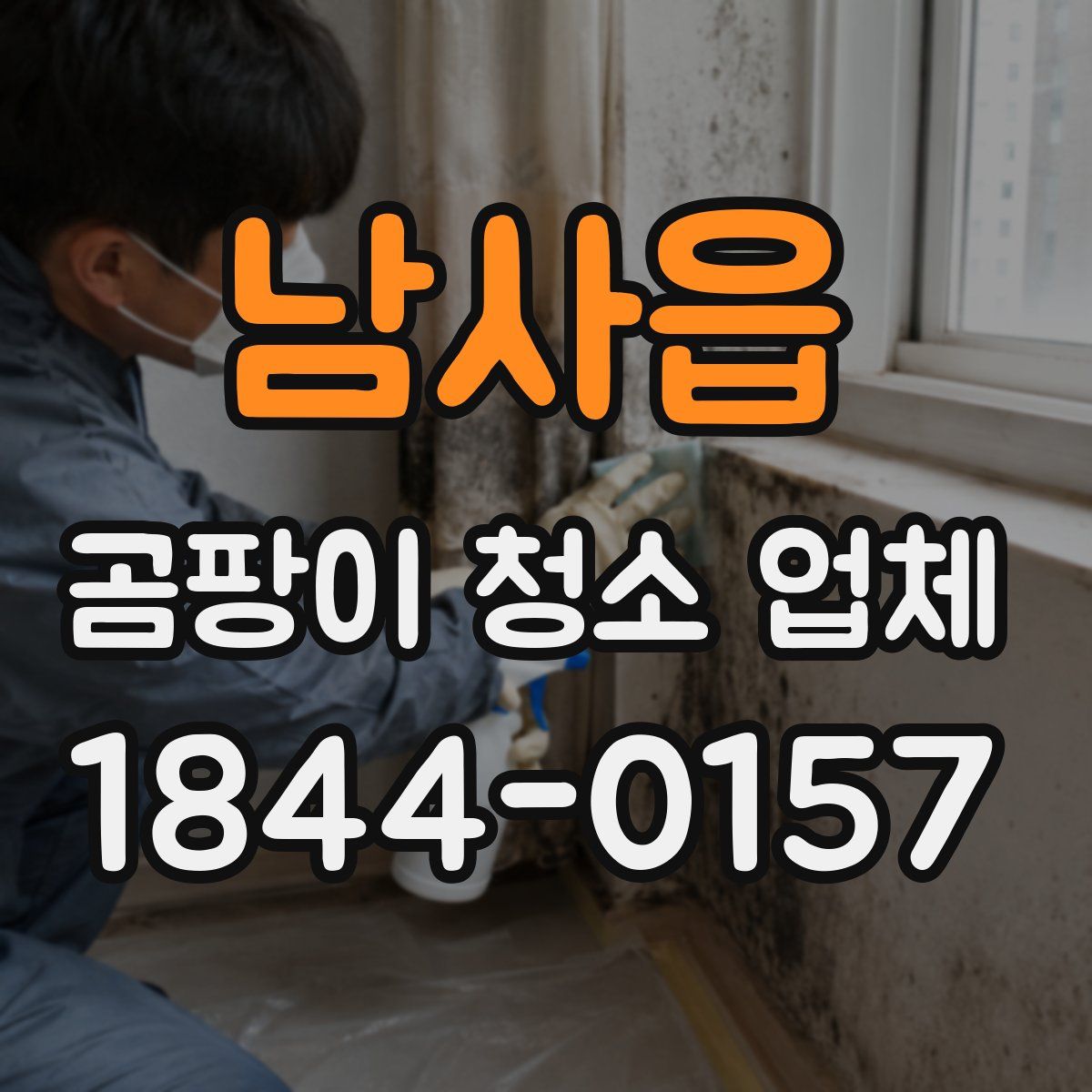 남사읍 곰팡이 청소 업체