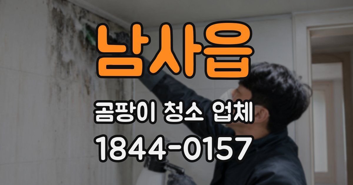 남사읍 곰팡이 청소 업체