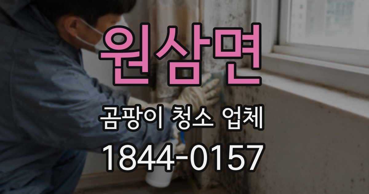 원삼면 곰팡이 청소 업체
