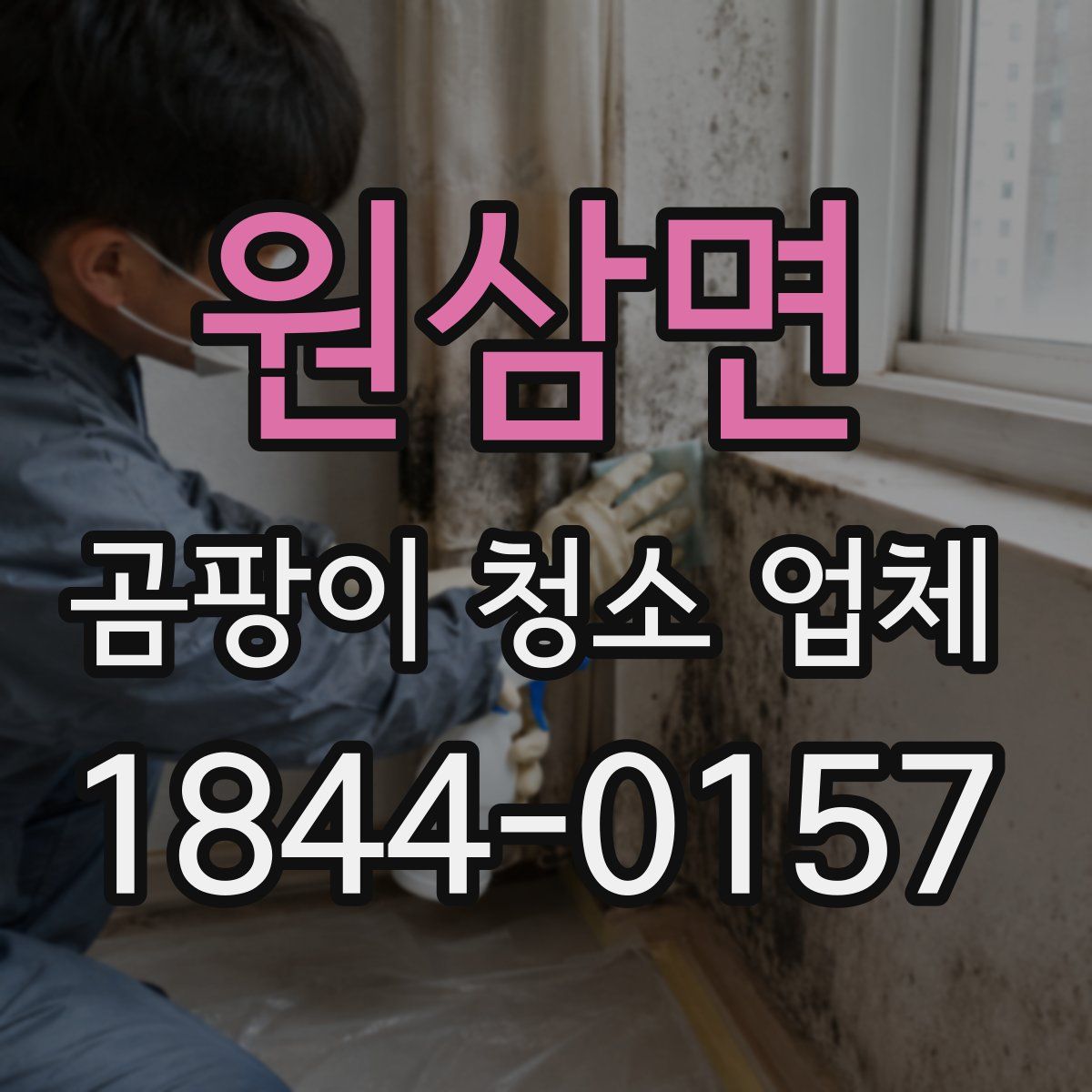 원삼면 곰팡이 청소 업체
