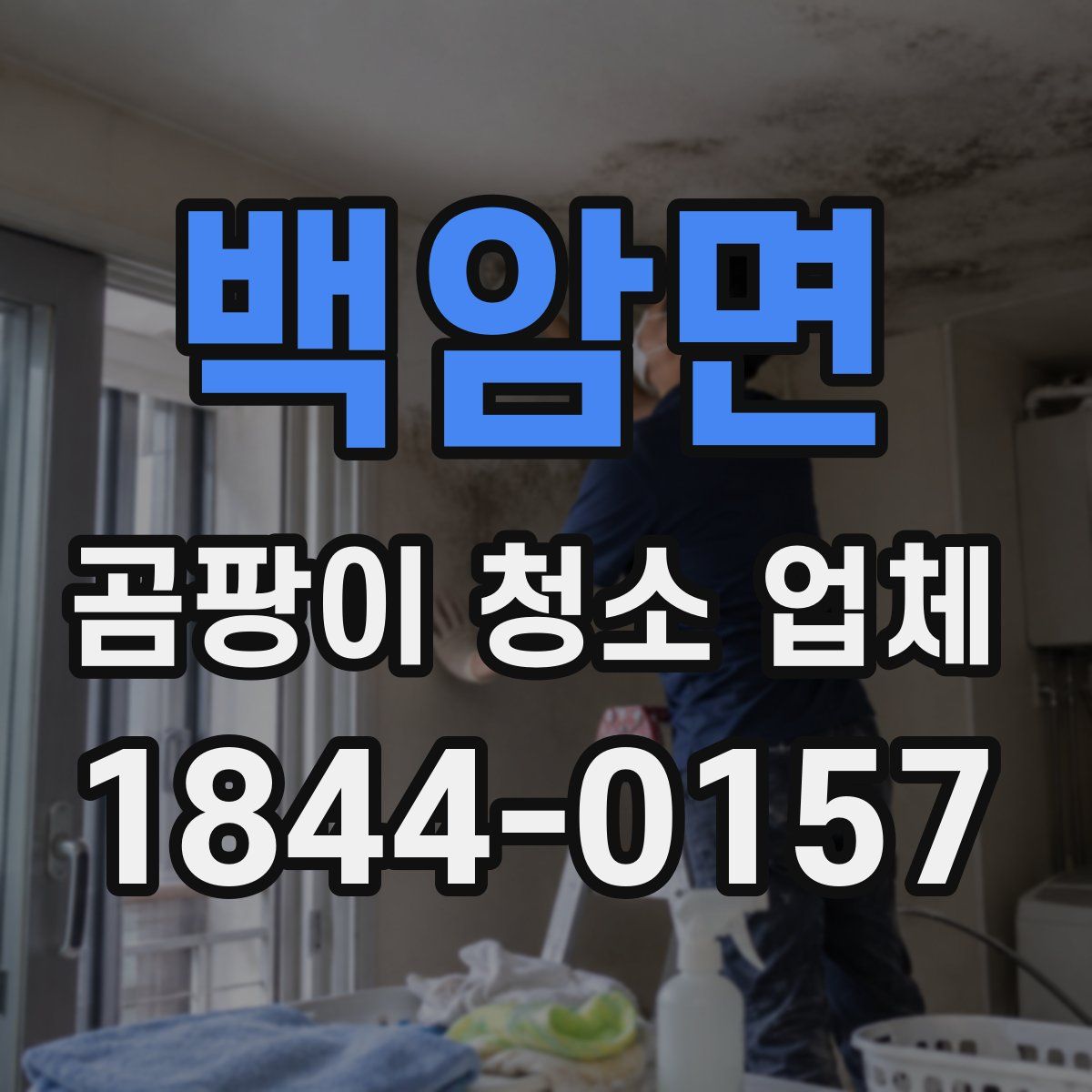 백암면 곰팡이 청소 업체