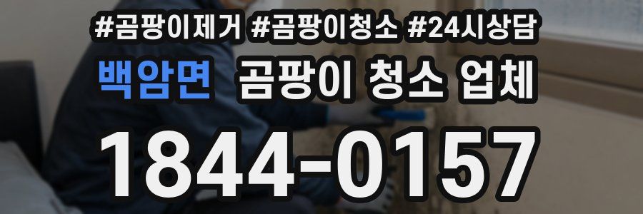 백암면 곰팡이 청소 업체