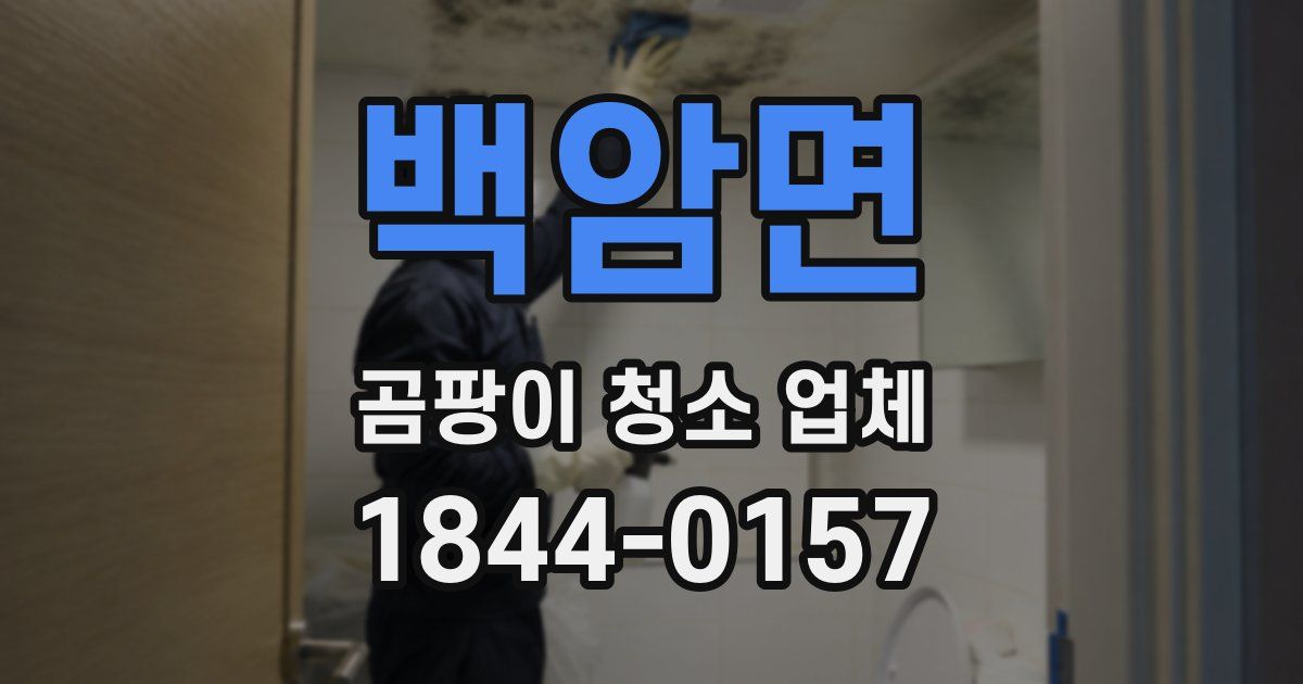 백암면 곰팡이 청소 업체