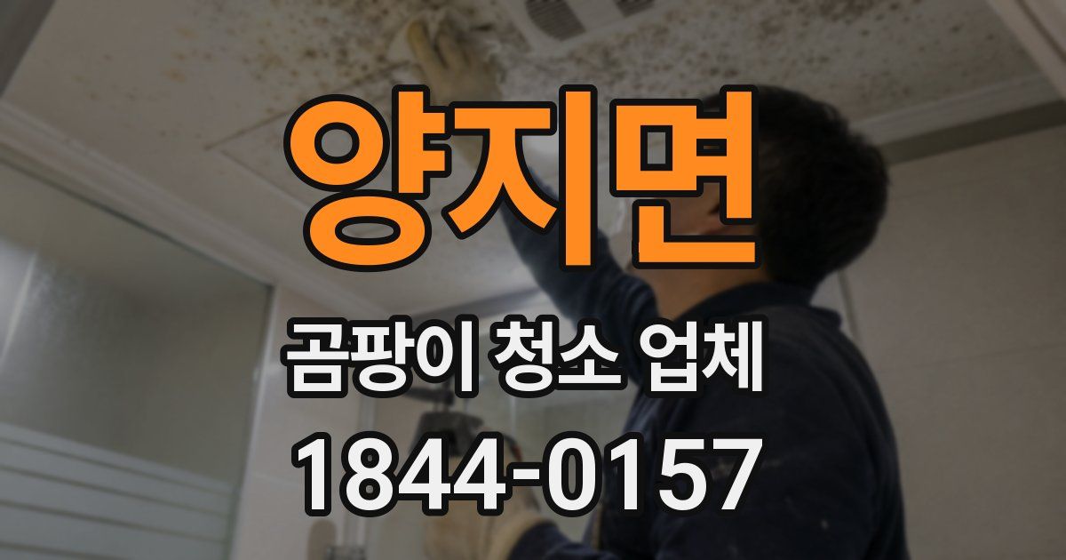 양지면 곰팡이 청소 업체