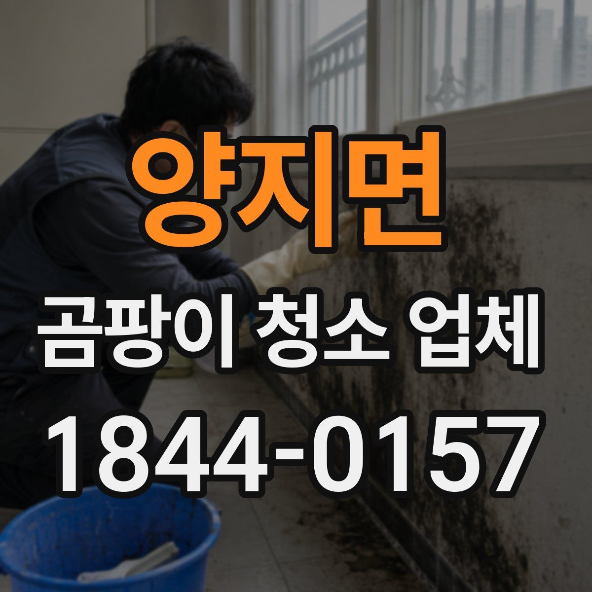 양지면 곰팡이 청소 업체