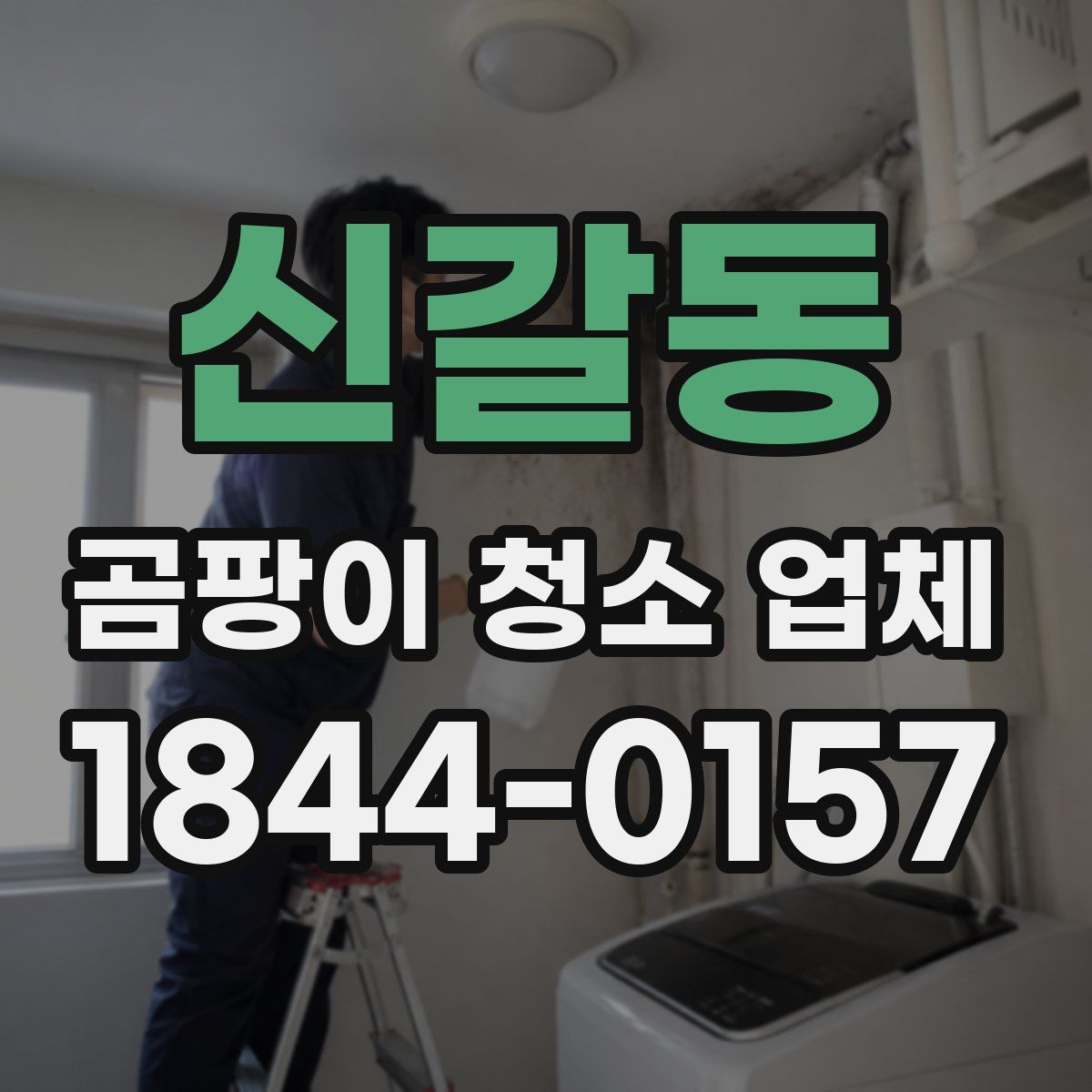신갈동 곰팡이 청소 업체